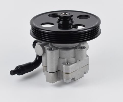 Αντλία τροχιάς από την Κίνα Συσκευές για το σύστημα σασί αυτοκινήτου υψηλής ακρίβειας 1102DAA03701N 60bar δύο σωλήνες