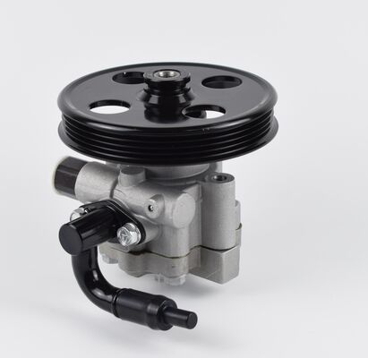 Αντλία τροχιάς από την Κίνα Συσκευές για το σύστημα σασί αυτοκινήτου υψηλής ακρίβειας 1102DAA03701N 60bar δύο σωλήνες