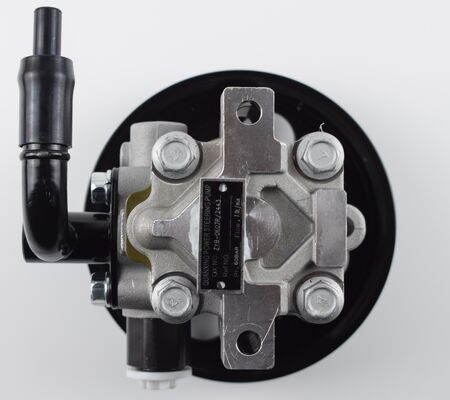 Αντλία τροχιάς από την Κίνα Συσκευές για το σύστημα σασί αυτοκινήτου υψηλής ακρίβειας 1102DAA03701N 60bar δύο σωλήνες